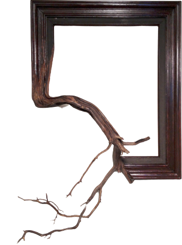 a wooden frame with the bottom left corner turning into a branch