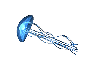 a swimming jellyfish