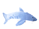 a swimming shark plushie